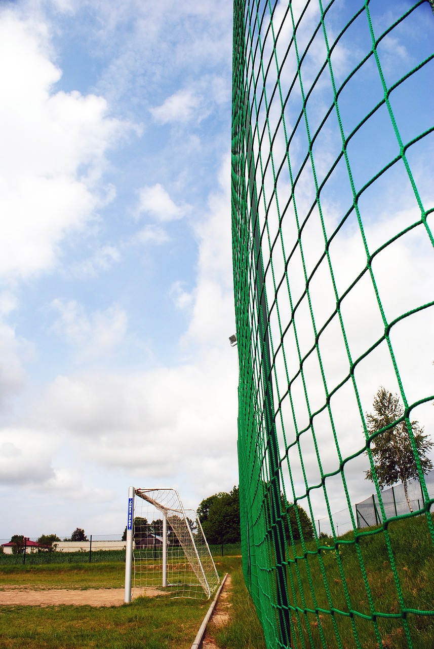 显示出他在 显示出他在