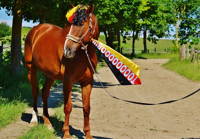 还需要整个 还需要整个
