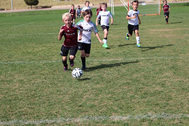 意甲第26輪維羅納0-2AC米蘭 克魯尼奇任意球世界波.