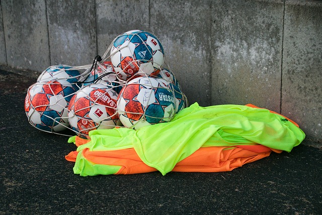 到了未來的 到了未來的